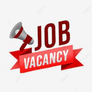 JOB VACANCY: *OPEN*