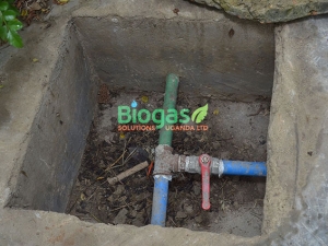 Govt asked to create fund for production of biogas